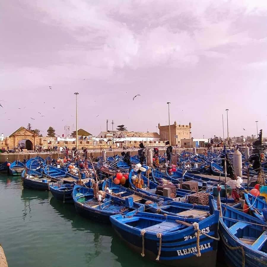 From Marrakech: Essaouira Full day trip, beach and History - Is $16 a Good Deal?