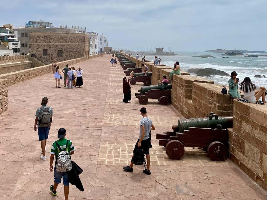 From Marrakech: Essaouira Full day trip, beach and History - Learning About Argan Oil on the Way