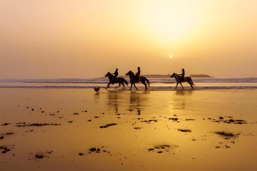 From Marrakech: Essaouira Full-Day Trip with Activities - Guides can make the long day much easier