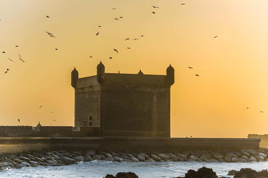 From Marrakech: Essaouira Full-Day Trip with Activities - Who should choose this outing