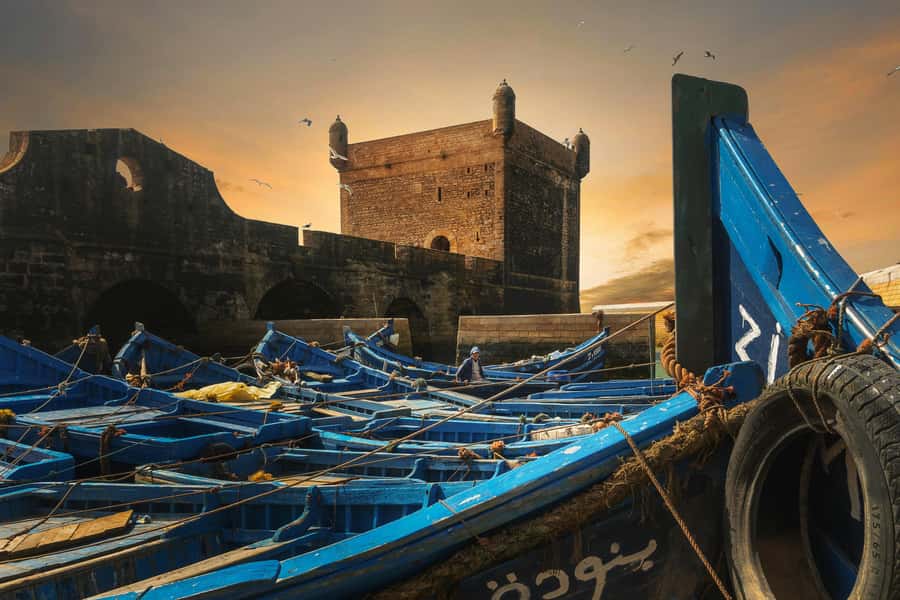 From Marrakech: Essaouira Private Full-Day Trip - The fish market is where the day feels most local
