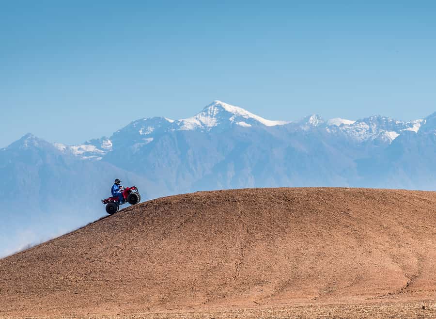 From Marrakech: Full-Day Agafay Desert Quad Adventure - The oasis gives the ride a strong opening
