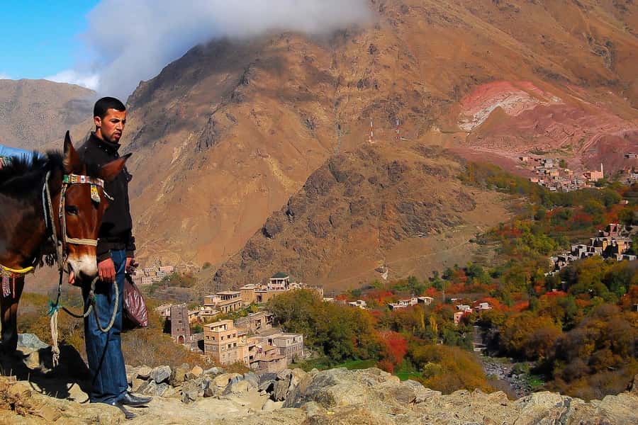 From Marrakech: Full-Day Atlas Mountain Berber Tour - Quick points to know before booking