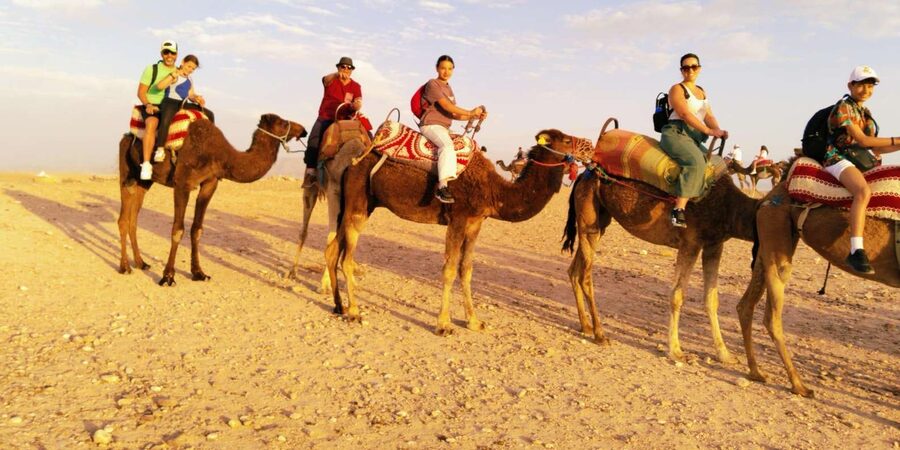 From Marrakech: Full-Day in the Atlas Mountains with Lunch - A note about the conflicting activity details