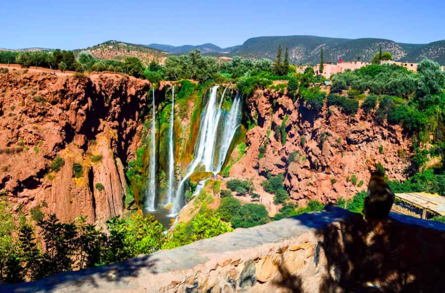 From Marrakech: Guided Ouzoud Waterfalls Tour with Boat Ride - Barbary apes, mills, orchards, and local character
