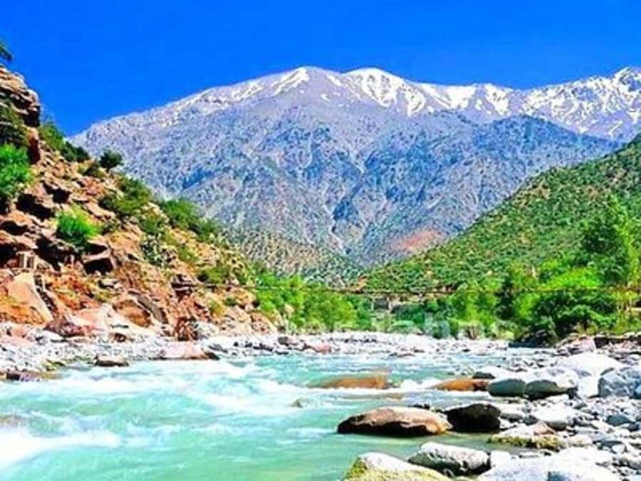 From Marrakech: Half-Day Tour to Atlas Mountains & Ourika - Should you book the Atlas Mountains and Ourika tour?