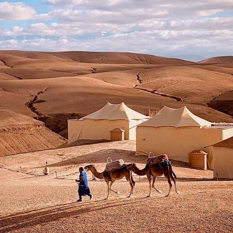 From Marrakech: High Atlas Mountains and 4 Valleys Day Trip - Leaving Marrakech for the High Atlas