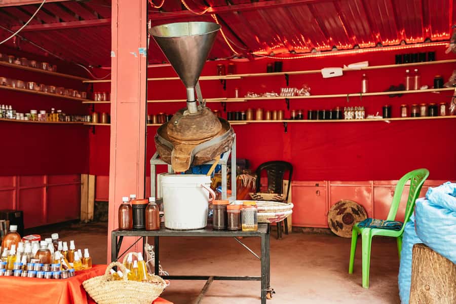 From Marrakech: High Atlas Mountains and 5 Valleys Day Trip - Guides, group size, and the value of the price