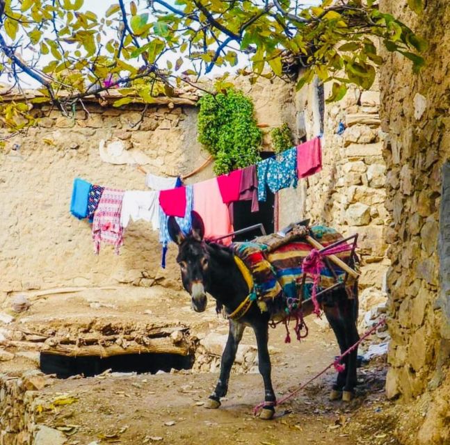 From Marrakech: Imlil Village and Kik Plateau Day Trip - Asni on Saturday, with a weekly market option