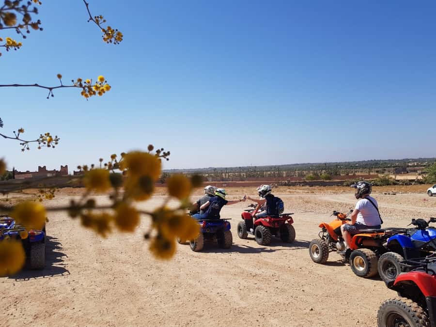 From: Marrakech: Lalla Takerkoust Lake Quad Bike Experience - Riding through the valley of turtles and desert plateau