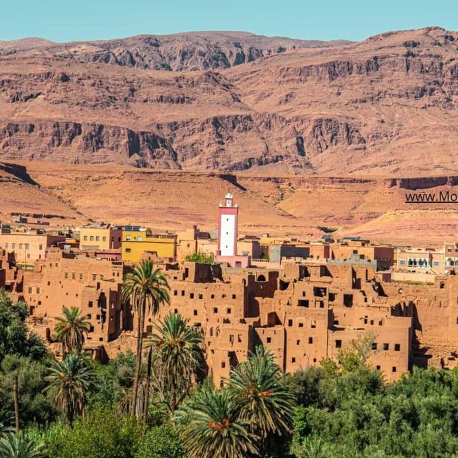 From Marrakech: Ouarzazate & Ait Benhaddou Guided Day Trip - Key points to know before booking