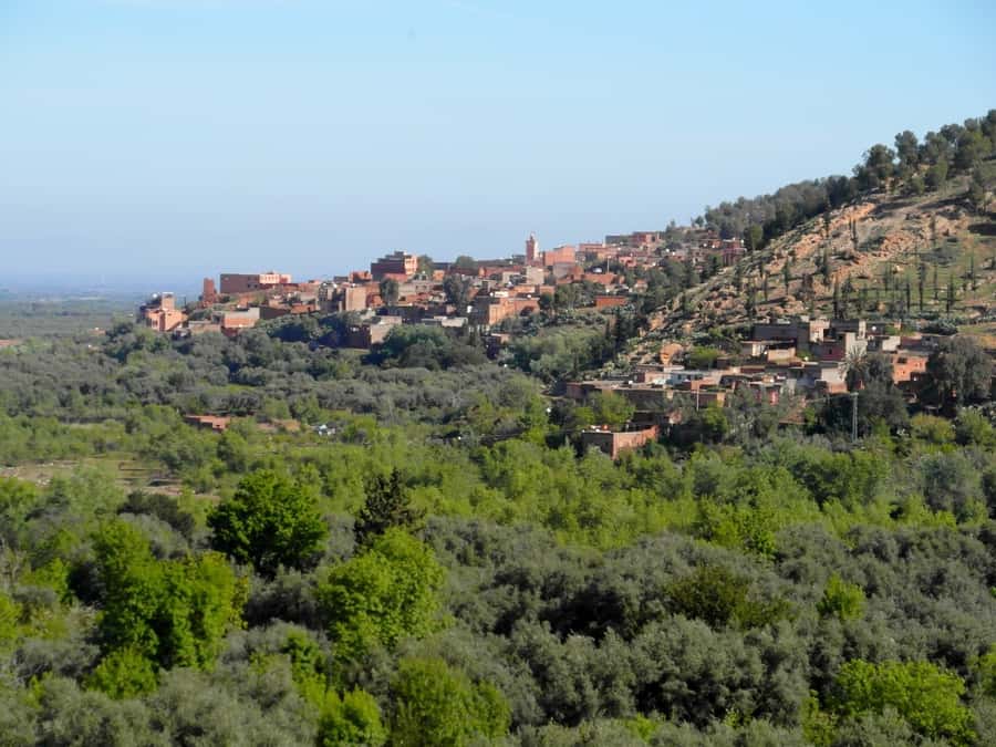 From Marrakech: Ourika Valley & Atlas Mountains Waterfalls - Should you book it?