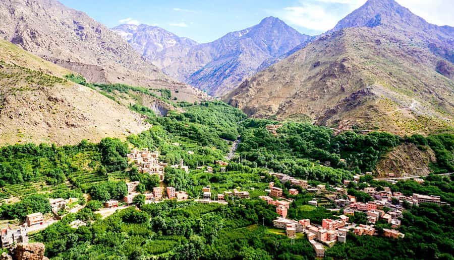 From Marrakech: Ourika Valley & Atlas Mountains Waterfalls - The argan oil cooperative and a taste of local work