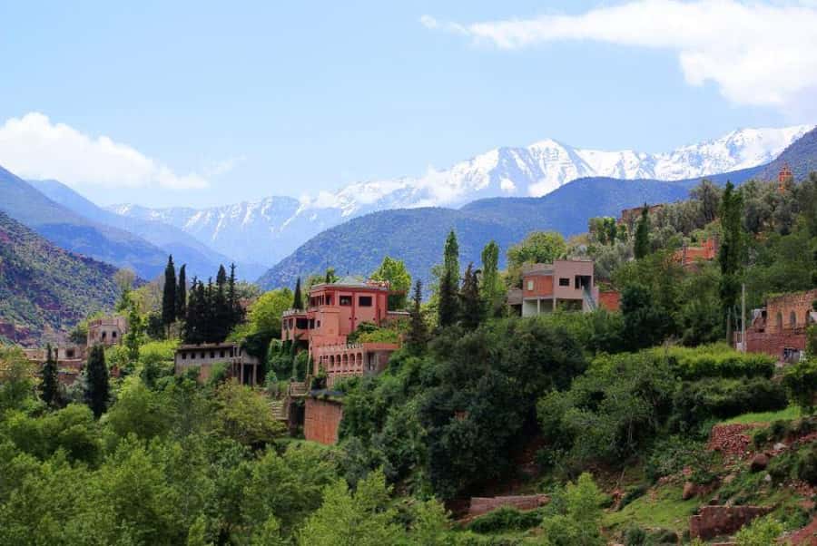 From Marrakech: Ourika Valley & Atlas Mountains Waterfalls - Who should book this Ourika Valley trip?