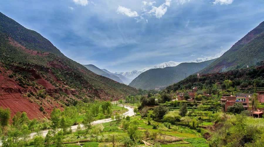 From Marrakech: Ourika Valley & Atlas Mountains Waterfalls - Meeting a Berber family in the Atlas foothills