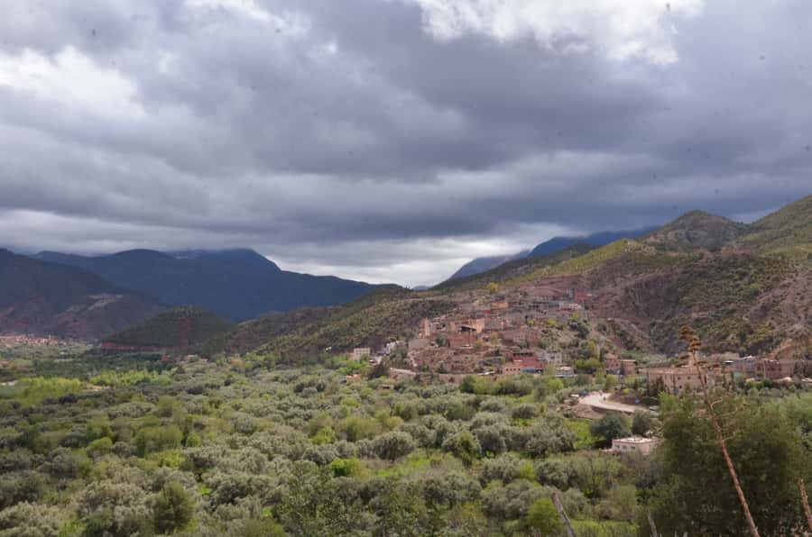 From Marrakech: Ourika Valley Day Trip with Lunch - The argan oil co-operative and local women’s work