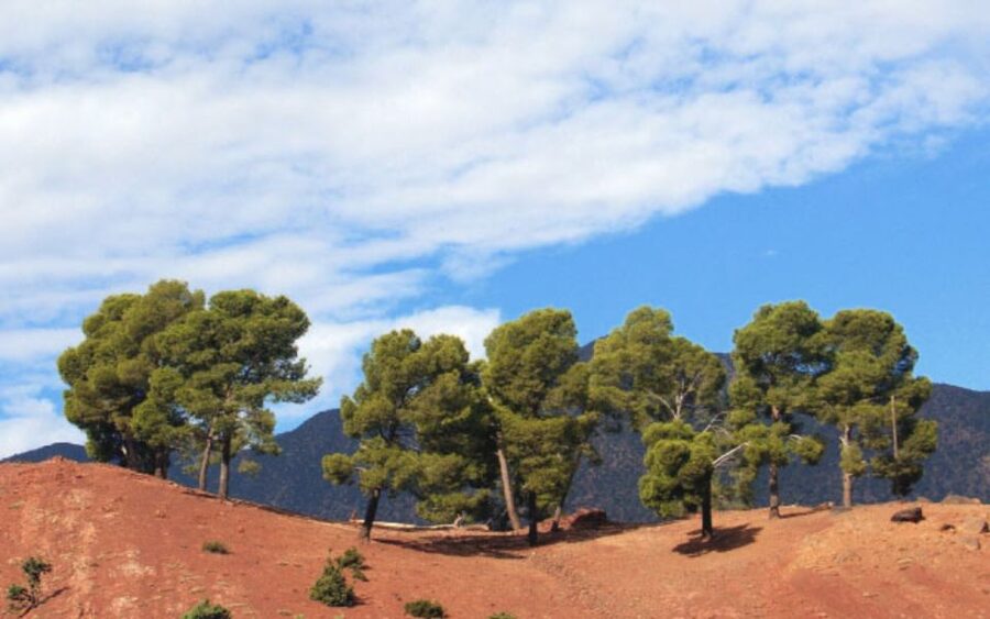 From Marrakech: Ourika Valley Tour with Lunch & Camel Ride - Key points at a glance