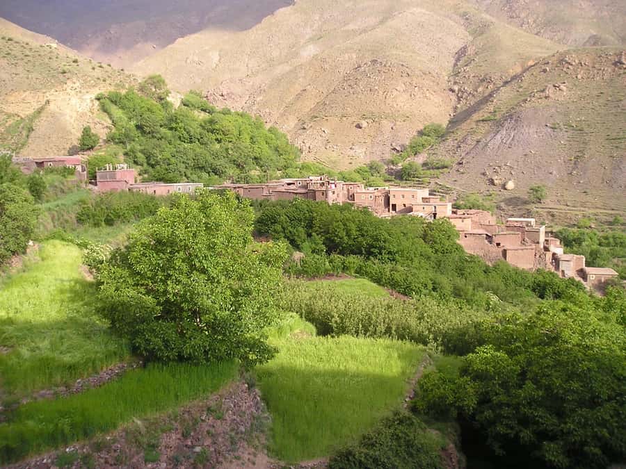 From Marrakech: Ourika Valley Trip, Waterfall Hike & Lunch - Should you book it?