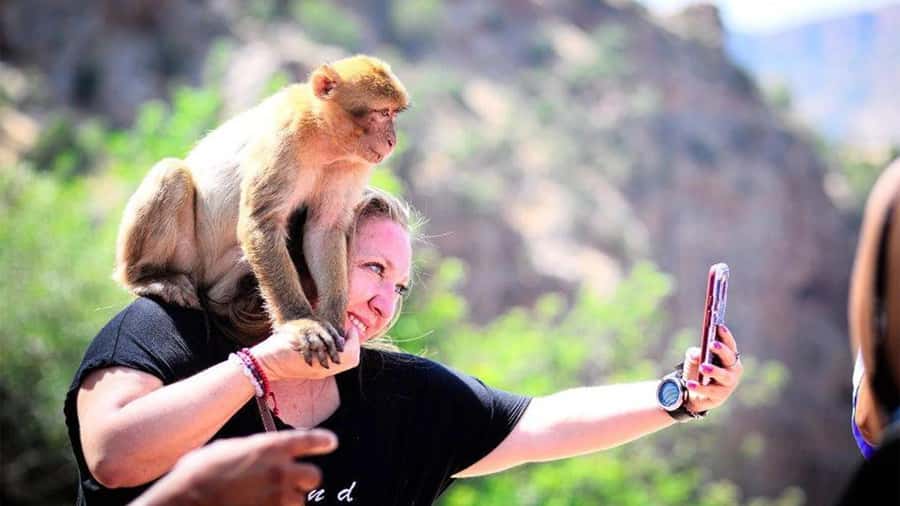 From Marrakech: Ouzoud Waterfalls Guided Hike and Boat Tour - Key points to know before you go