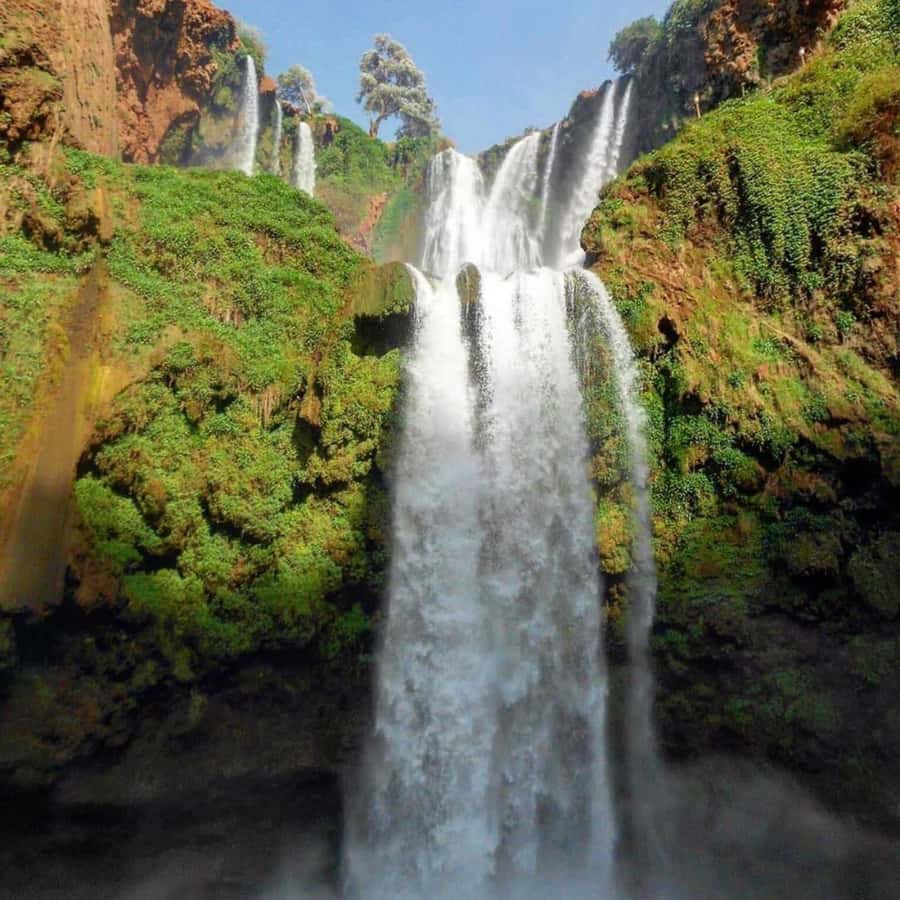 From Marrakech: Ouzoud Waterfalls Guided hike & boat Ride - Lunch with a view, but check the cost