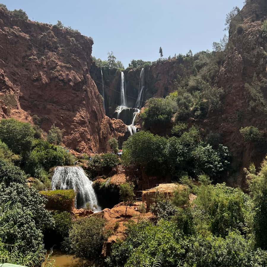 From Marrakech: Ouzoud Waterfalls Guided Tour and Boat Ride - Guide quality and group arrangements