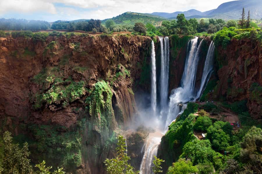 From Marrakech: Ouzoud Waterfalls Guided Tour & Boat Ride - Barbary macaques and the olive groves