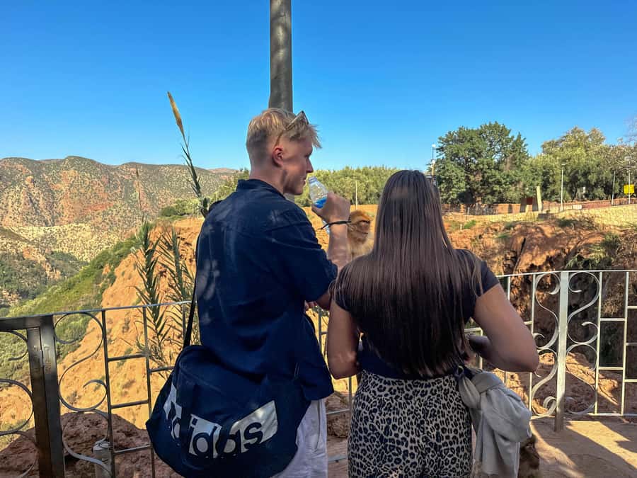 From Marrakech: Ouzoud Waterfalls guided trip with boat ride - Key points at a glance