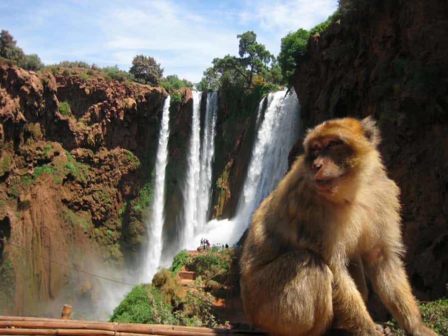 From Marrakech: Ouzoud Waterfalls Local Guided and Boat Ride - Why Ouzoud makes a worthwhile day from Marrakech