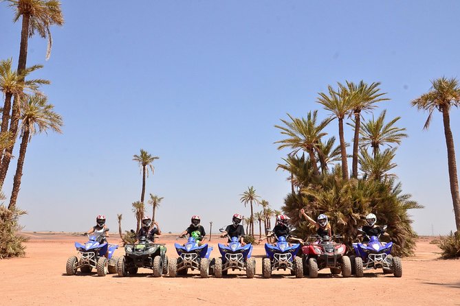 From Marrakech: Palm Grove Quad Bike and Camel Ride Tour - Mint tea at a traditional bivouac