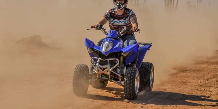 From Marrakech: Palm Grove Quad Bike Tour with Mint Tea - Mint tea, bread, and a short Berber welcome