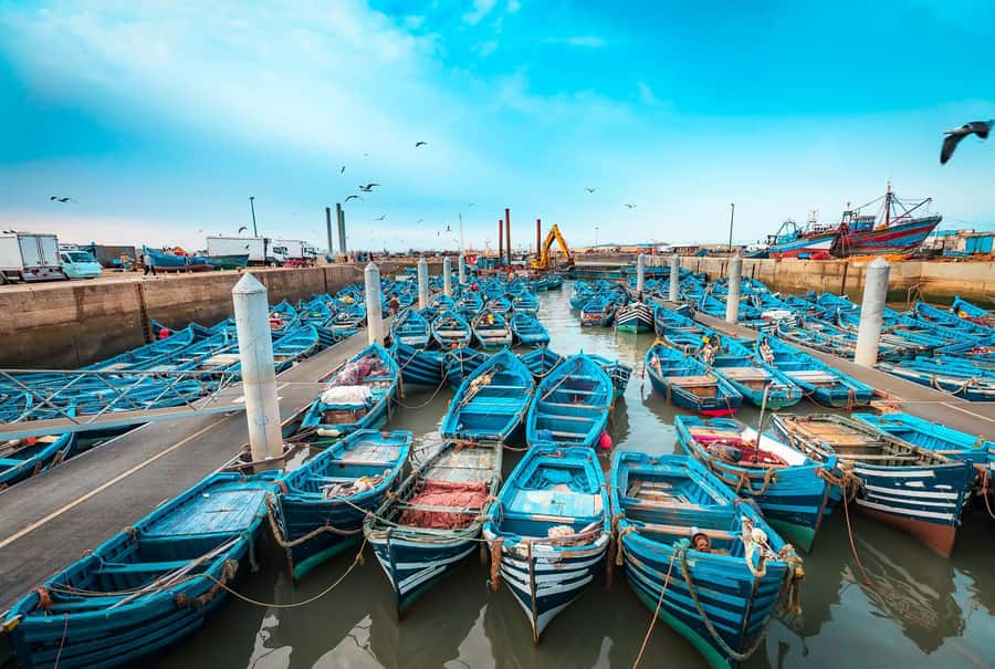 From Marrakech: Private Full-Day Essaouira Tour - A café break at Place Moulay Hassan
