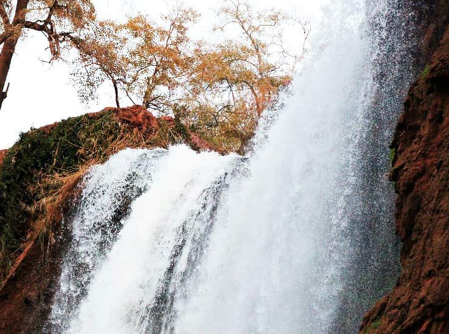 From Marrakech: Private Ouzoud Falls & Boat Ride Day Trip - Seeing the 110-meter cascades from above and below