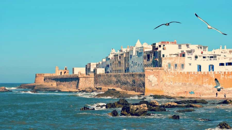 From Marrakech: small group Day Trip To Essaouira Mogador - Should you book the Essaouira day trip?