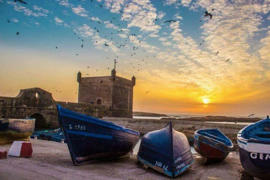 From Marrakech: small group Day Trip To Essaouira Mogador - The road from Marrakech and the argan stop