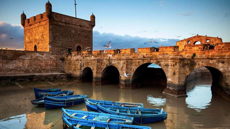 From Marrakech: small group Day Trip To Essaouira Mogador - Blue boats, port views, and the Skala