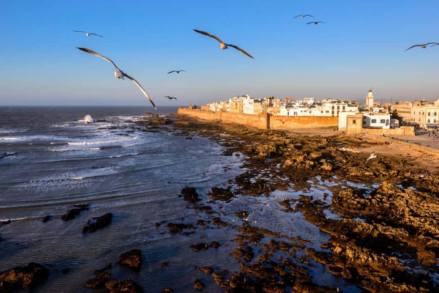 From Marrakech: small group Day Trip To Essaouira Mogador - Who will get the most from this day trip