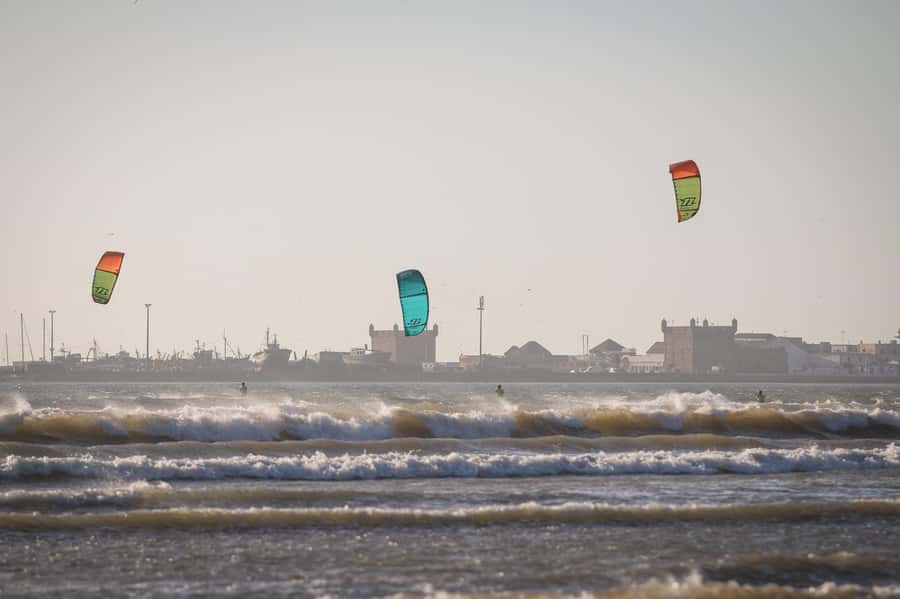 From Marrakech: small group Day Trip To Essaouira Mogador - Booking details worth knowing
