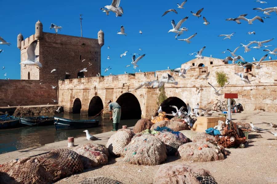 From Marrakech: small group Day Trip To Essaouira Mogador - Four hours to find your own Essaouira