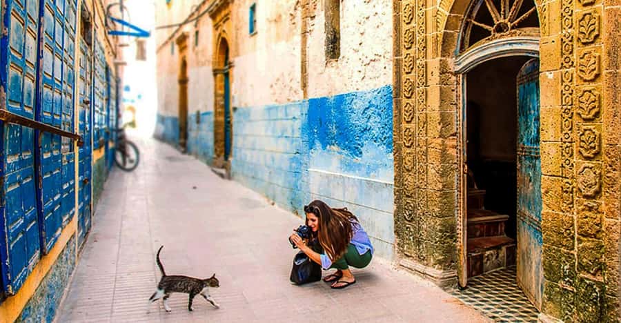 From Marrakech: Small Group To Essaouira & Medina Day Trip - Why Essaouira makes a good break from Marrakech