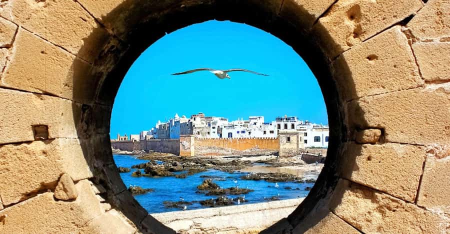 From Marrakech: Small Group To Essaouira & Medina Day Trip - Communication, guides, and the small details that matter