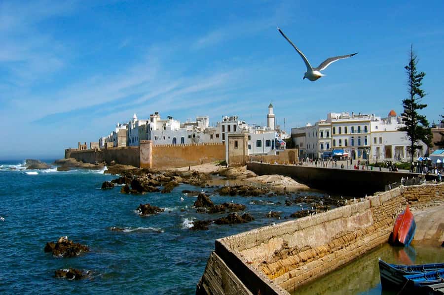 From Marrakech: Small Group To Essaouira & Medina Day Trip - The fishing port and a fresh seafood lunch