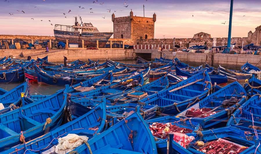 From Marrakech: Small Group to Essaouira & Sekkala Day Trip - The first refreshment and photo breaks