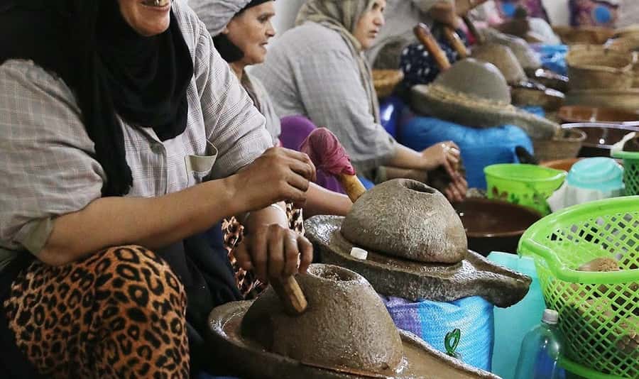 From Marrakech: Small Group to Essaouira & Sekkala Day Trip - Inside the argan oil cooperative