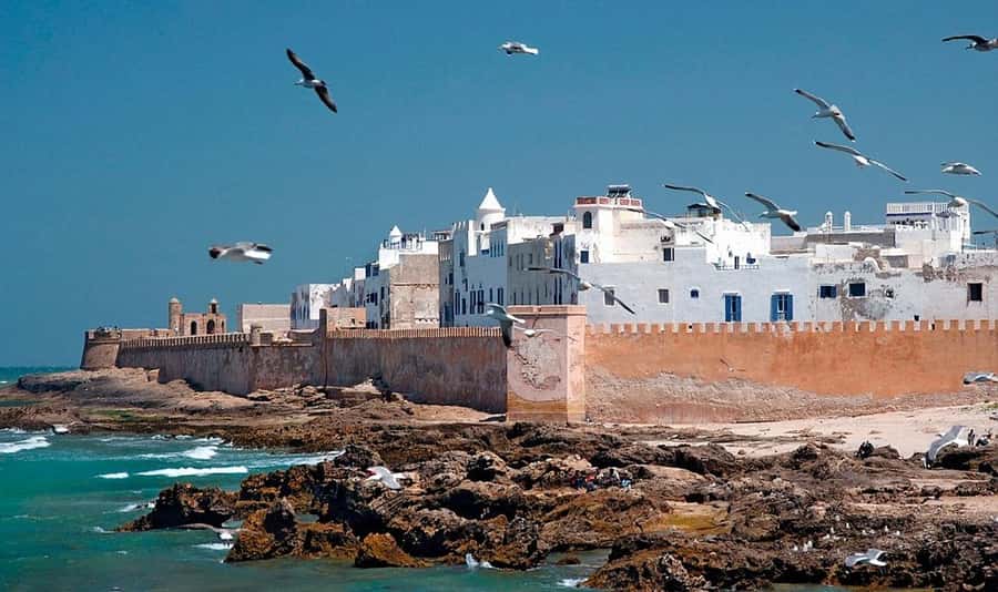From Marrakech: Small Group to Essaouira & Sekkala Day Trip - The fishing port and seafood lunch