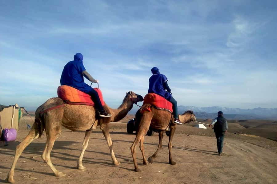 From Marrakech: Sunset Camel Ride in the Agafay Desert - Agafay is a rocky desert, not the Sahara