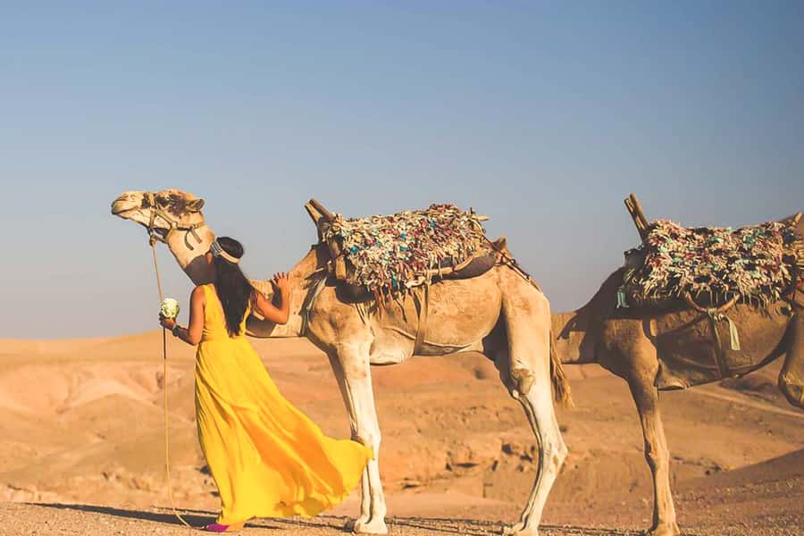 From Marrakech: Sunset Camel Ride in the Agafay Desert - Who will enjoy this outing most?