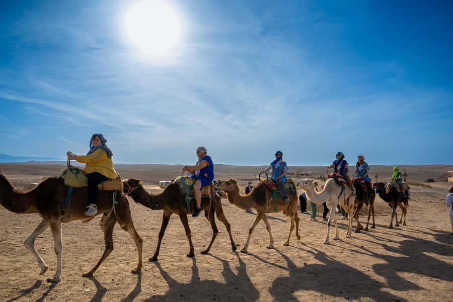 From Marrakech: Sunset Desert Tour with Camel Ride & Dinner - Is the $51 price good value?