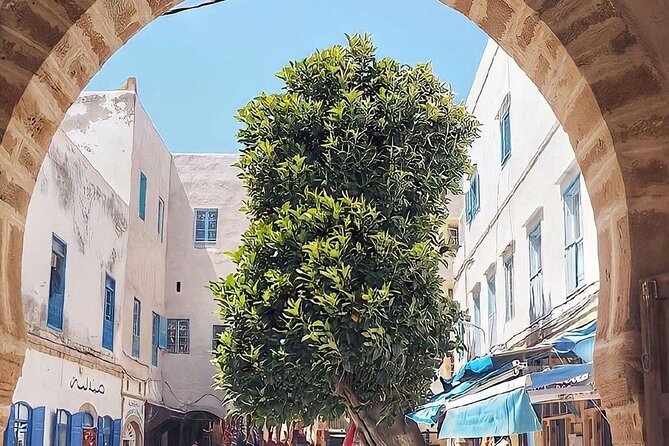 From Marrakech To Essaouira Mogador Full Day Trip | Small-group - Small group claims and vehicle comfort
