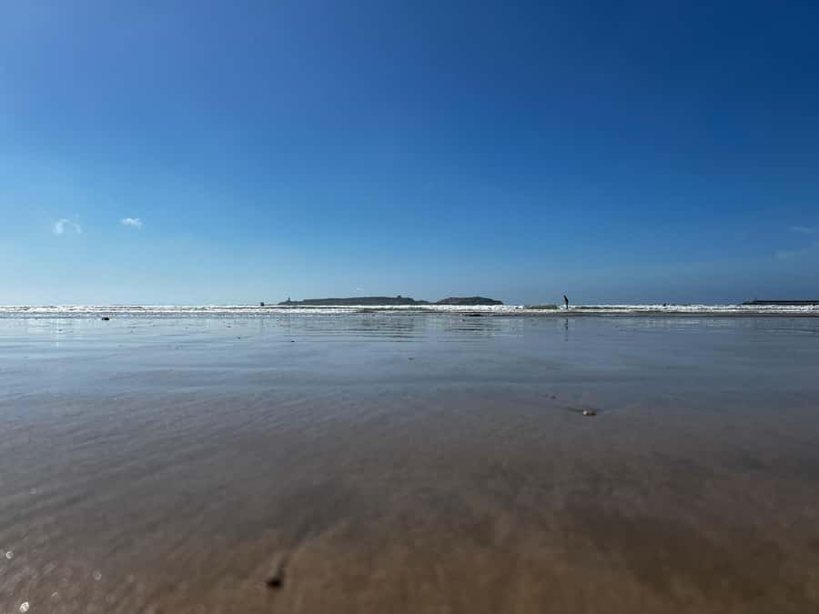 From Marrakech To Essaouira Mogador Full Day Trip Smallgroup - Four free hours in the port and medina