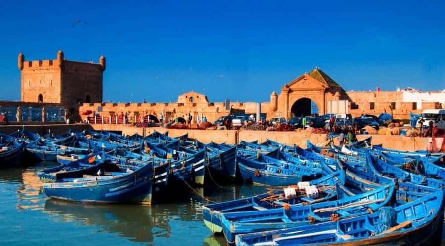 From Marrakech To Essaouira Mogador Full Day Trip Smallgroup - The Marrakech pickup and long road west